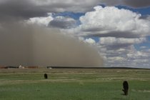 Tempeste di sabbia e polvere