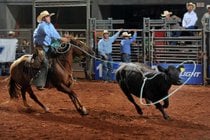 Texas Ranch Roundup