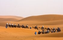 Trekking de camelo