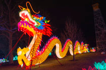 Paper lanterns columbus clearance ohio