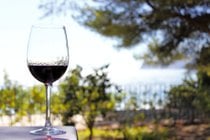 Weinsaison und Sant Mateu d'Albarca