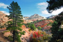 Colores de otoño en el Parque Nacional Zion