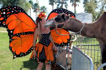 Age de la Cavalerie Las Vegas Renaissance Festival
