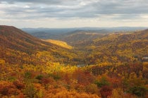 Shenandoah-Nationalpark Herbst Laubwald