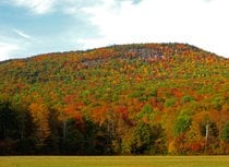 Maine Herbst Belaubung
