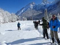 Snowshoe o excursiones con raquetas de nieve