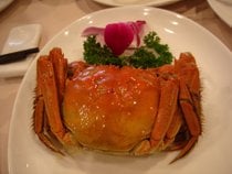 Crabe Poilu