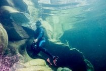 Diving e immersioni