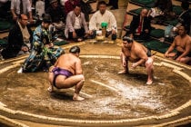 Sumo Große Turniere