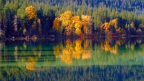Colores de otoño del lago Wenatchee