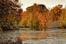 Cores de outono em Connecticut