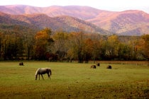 Couleurs d'automne dans le Tennessee