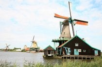Campiña holandesa y molinos de viento