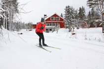 Cross-Country Skiing