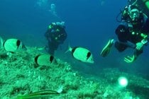 Diving e immersioni
