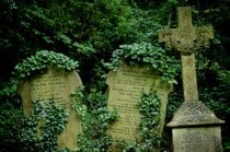 Der Friedhof von Highgate