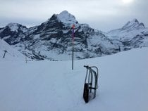 Faulhorn-Grindelwald​ Toboggan