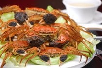 Saison des crabes chinois