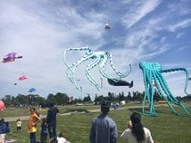 Brampton Kite Fest