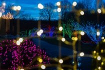 Luzes de Natal através da Virgínia