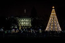 Das Einschalten der Lichter am Nationalen Weihnachtsbaum