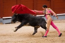 Bullfighting (Corrida de Toros)