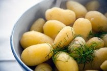 Neue Kartoffel Obsession