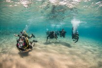 Diving e immersioni in Aqaba