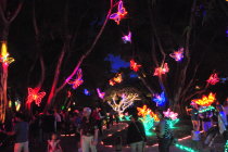 Sarasota Christmas Lights 2022 2023 In Sarasota Fl Dates