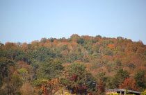 Cores de outono em Hudson Highlands State Park
