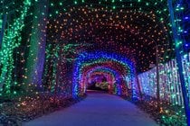 Luzes de Navidad cerca Maryland