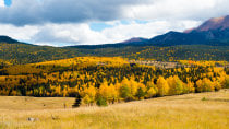Couleurs d'automne de Colorado Springs