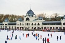 Rink di ghiaccio del parco della città