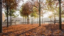 Parques y jardines en el foliaje de otoño