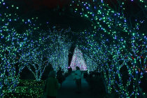 City Of Baldwin Ga Christmas 2022 Christmas Lights 2022-2023 In Georgia, Usa - Dates