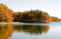 Fogliaggio di autunno del Massachusetts