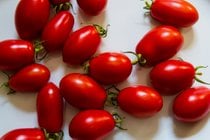Tomates de San Marzano