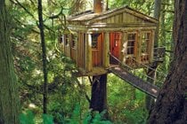 Point TreeHouse