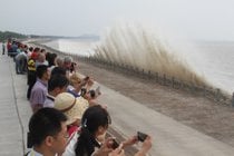 Boro della marea del fiume Qiantang