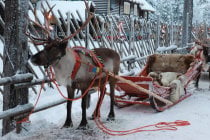 Mercados de Navidad en Finlandia