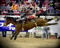 Finales nationales indiennes Rodeo