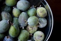 Guava oder Goiaba