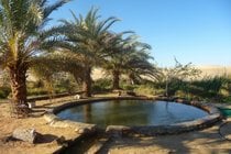 Fuentes minerales en Siwa Oasis