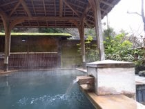 Onsen (Hot Springs)