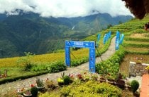Maratona de montanha do Vietnã