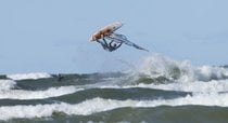 Windsurfing and Kitesurfing
