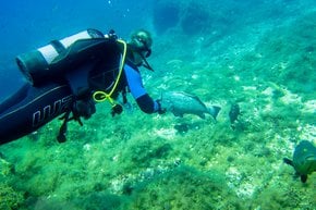 Scuba Diving in Mallorca