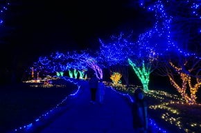 Luzes de Natal no Norfolk Botanical Garden
