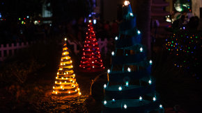 Christmas Lights in Hawaii