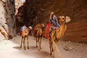 Safari di cammello